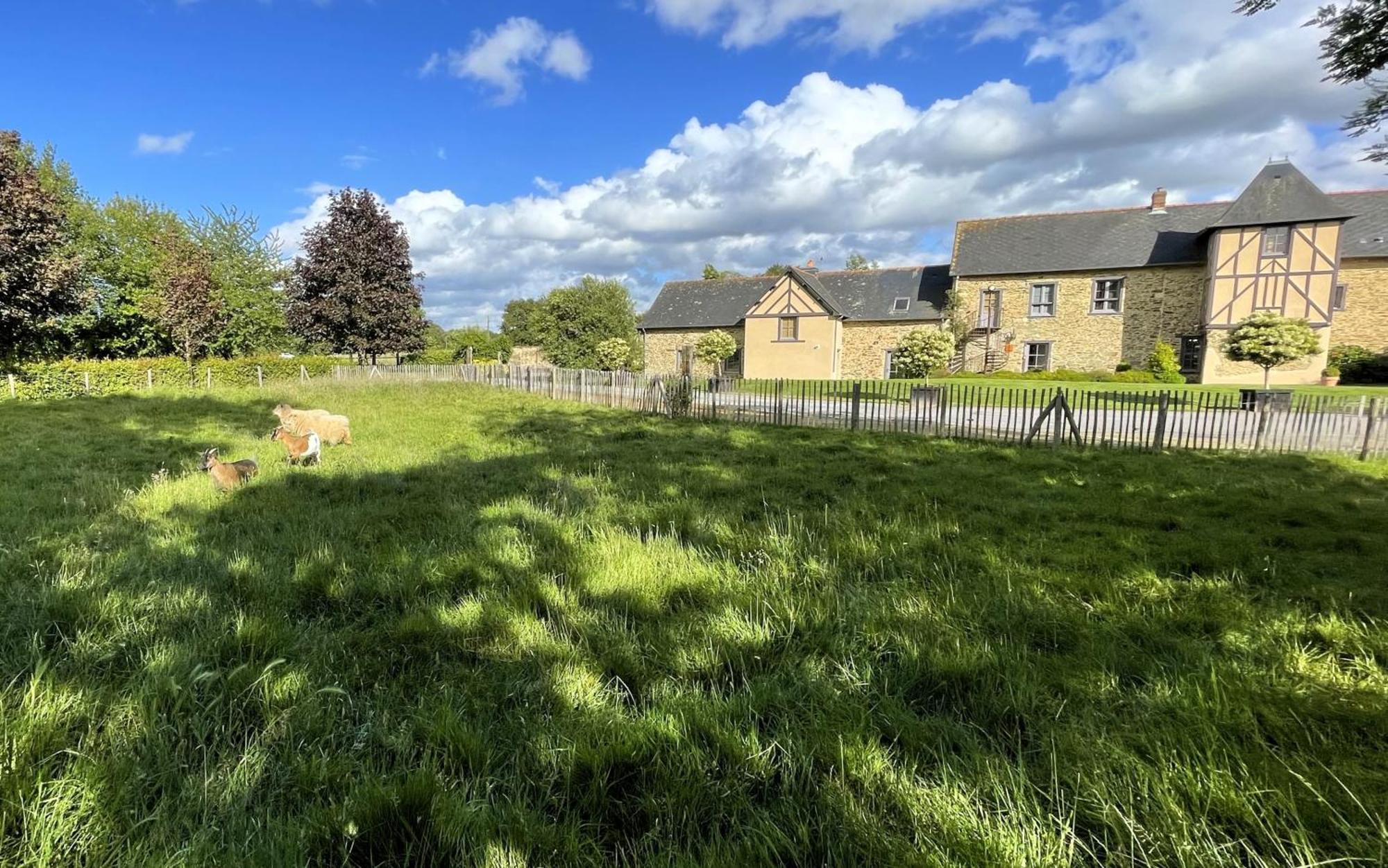 Appart' D'Hotes , Ch Et Gite Au Manoir De La Haute Pilais Chantepie Luaran gambar